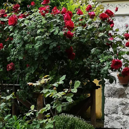 East Wind Bed & Breakfast