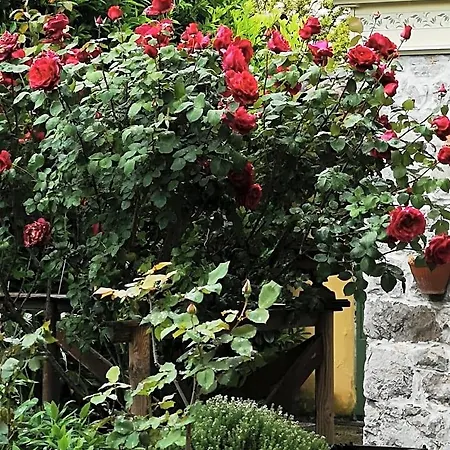 East Wind Bed & Breakfast Medea
