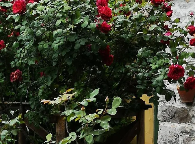 East Wind Frühstückspension